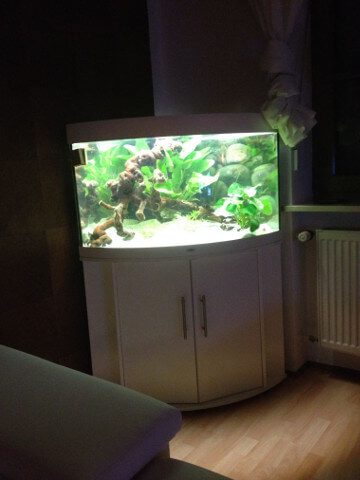 aus 200 Liter Süßwasseraquarium werden 200 Liter Meerwasseraquarium