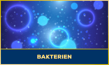 Bakterien