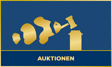 Auktionen