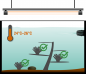Preview: Lobophyllia