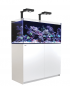Preview: Red Sea Reefer 350 DELUXE Meerwasseraquarium Komplettset Preview: Red Sea Reefer 350 DELUXE Meerwasseraquarium Komplettset