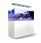 Preview: Red Sea Reefer Peninsula 650 DELUXE Meerwasseraquarium Komplettset Preview: Red Sea Reefer Peninsula 650 DELUXE Meerwasseraquarium Komplettset