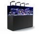 Preview: Red Sea Reefer XXL 750 DELUXE Meerwasseraquarium Komplettset Preview: Red Sea Reefer XXL 750 DELUXE Meerwasseraquarium Komplettset