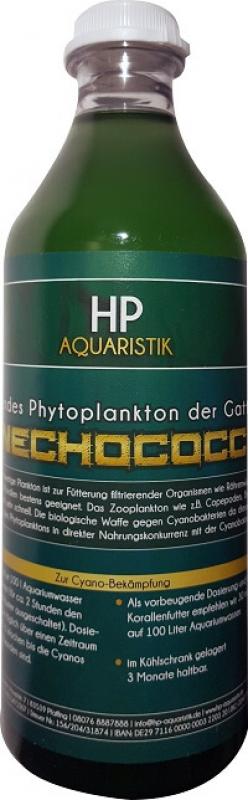 LEBENDES Phytoplankton Synechococcus, reinste Qualität 1000 ml