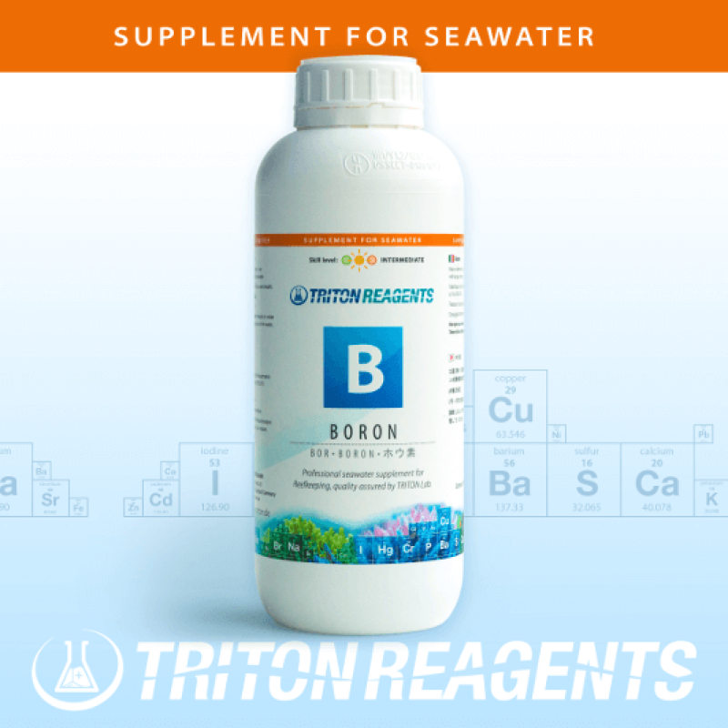 TRITON Reagents Bor 1000ml (B)