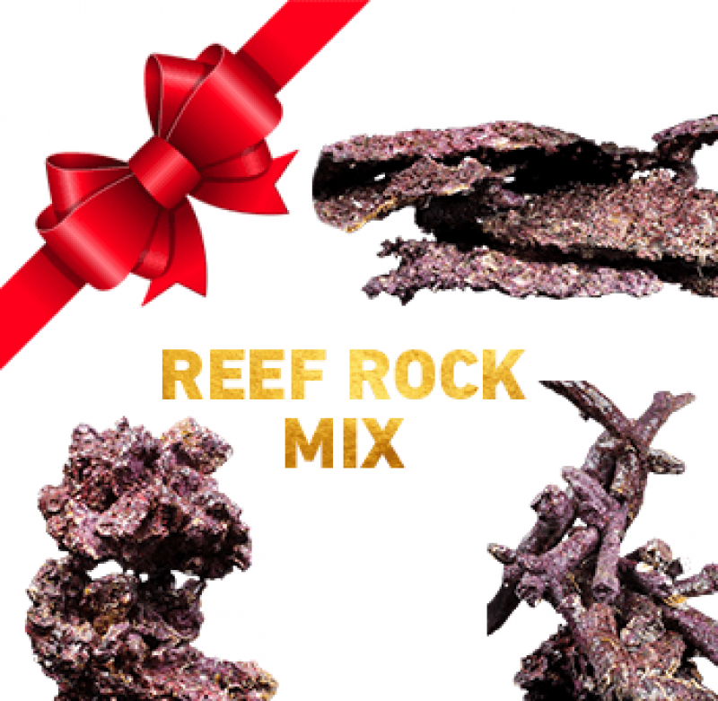 Exclusiv Real Reef Rock MIX SET passend für Ihr Aquarium