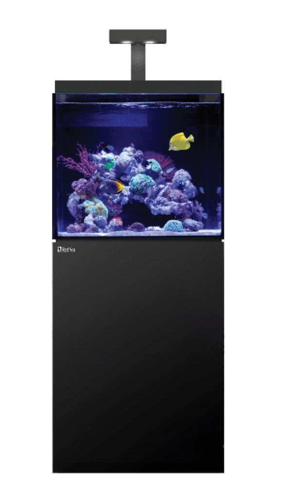 Red Sea E 170 Meerwasseraquarium Komplettset Red Sea E 170 Meerwasseraquarium Komplettset