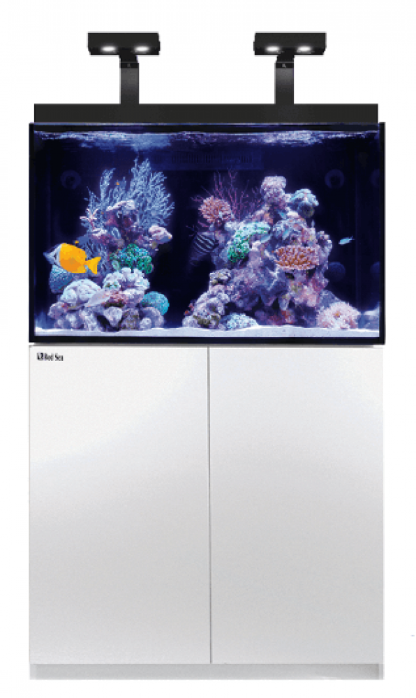 Red Sea E 260 Meerwasseraquarium Komplettset Red Sea E 260 Meerwasseraquarium Komplettset