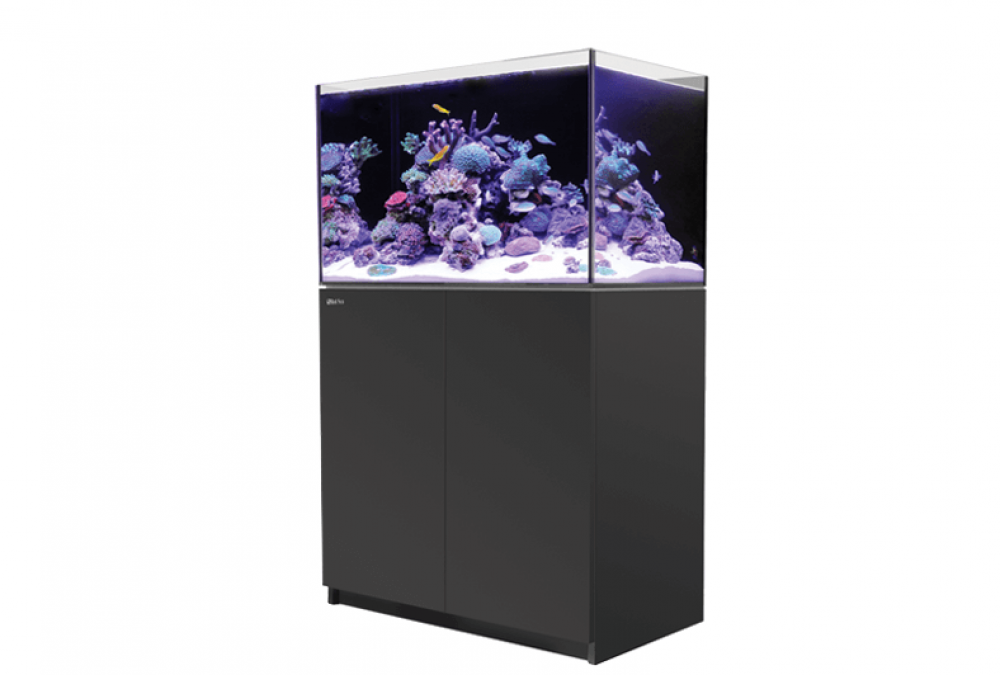 Red Sea Reefer 250 Meerwasseraquarium Komplettset Red Sea Reefer 250 Meerwasseraquarium Komplettset