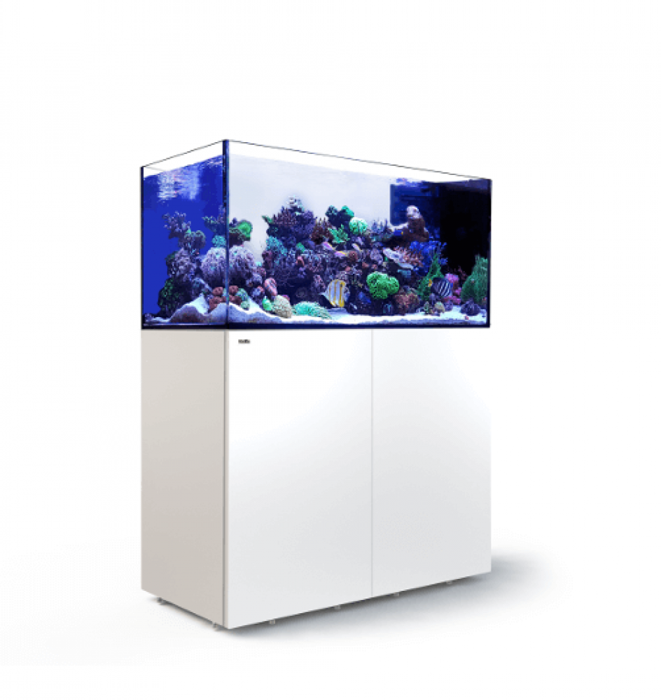 Red Sea Reefer Peninsula 500 Meerwasseraquarium Komplettset Red Sea Reefer Peninsula 500 Meerwasseraquarium Komplettset