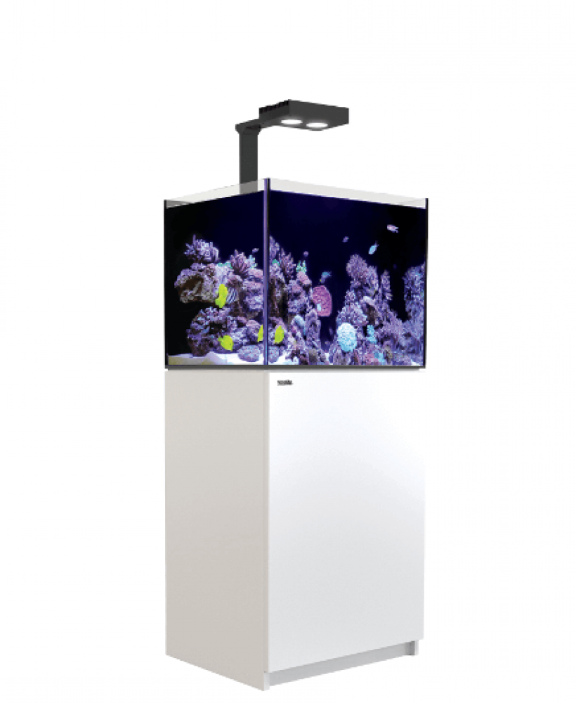 Red Sea Reefer 170 DELUXE Meerwasseraquarium Komplettset Red Sea Reefer 170 DELUXE Meerwasseraquarium Komplettset