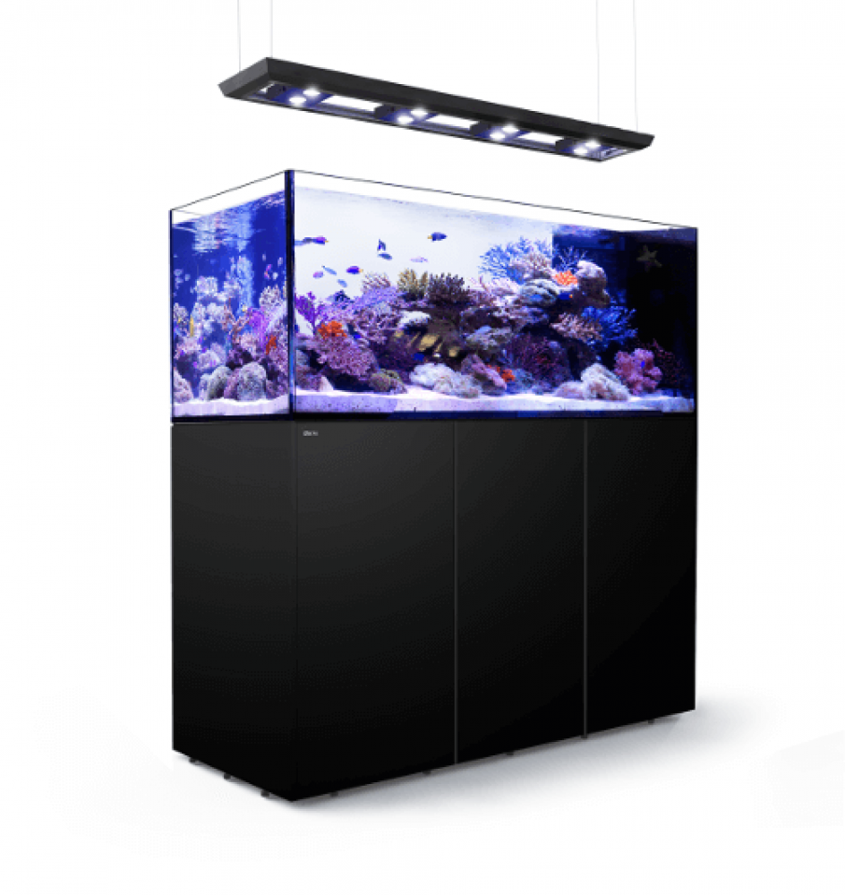 Red Sea Reefer Peninsula 650 DELUXE Meerwasseraquarium Komplettset Red Sea Reefer Peninsula 650 DELUXE Meerwasseraquarium Komplettset
