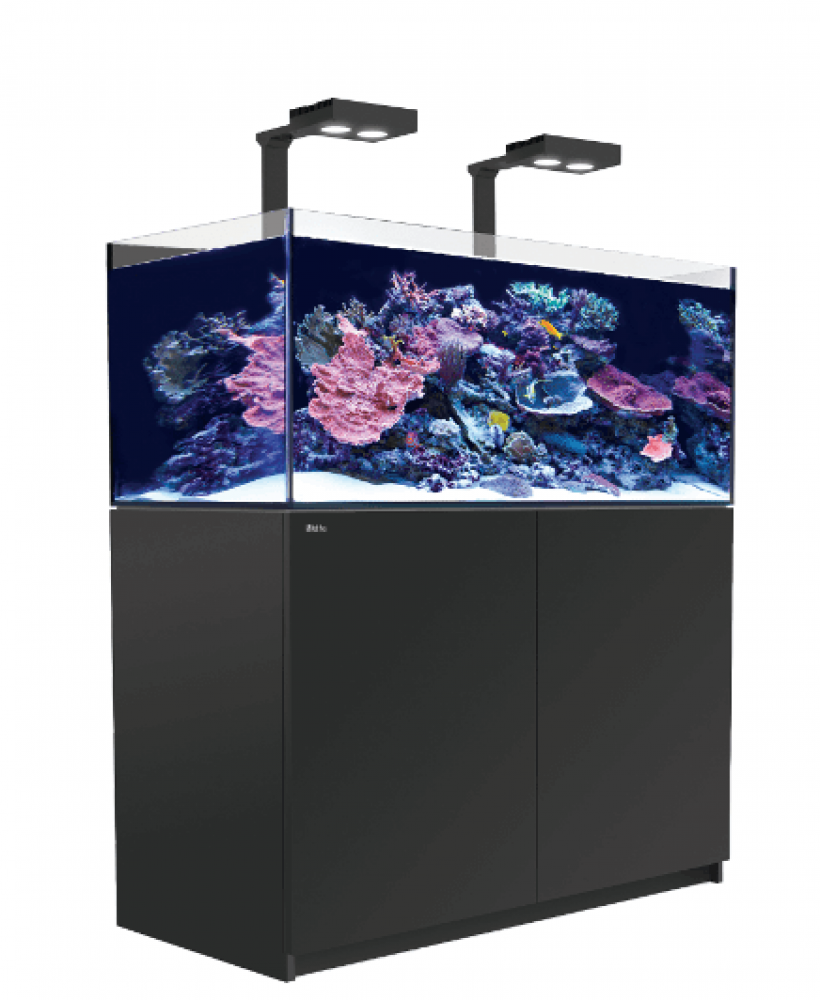 Red Sea Reefer XL 425 DELUXE Meerwasseraquarium Komplettset Red Sea Reefer XL 425 DELUXE Meerwasseraquarium Komplettset