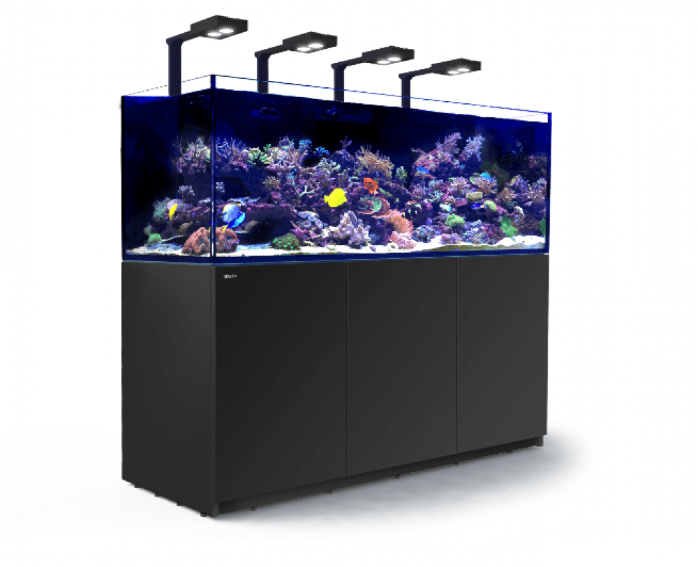 Red Sea Reefer XXL 750 DELUXE Meerwasseraquarium Komplettset Red Sea Reefer XXL 750 DELUXE Meerwasseraquarium Komplettset