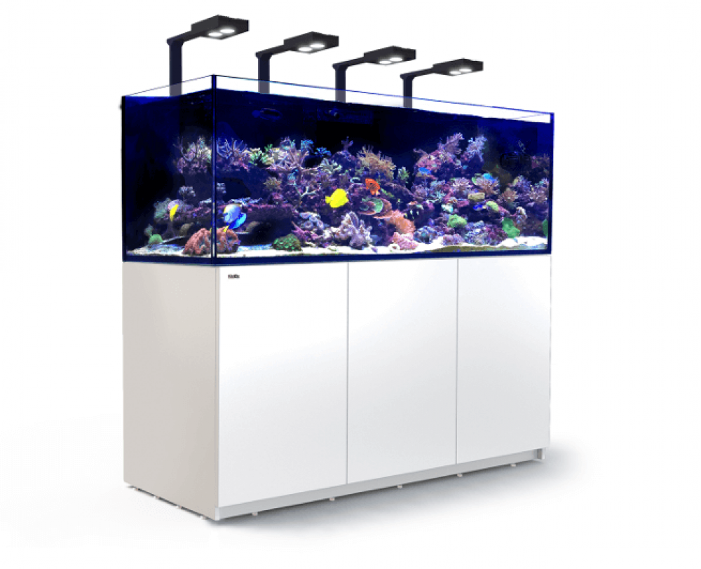 Red Sea Reefer XXL 750 DELUXE Meerwasseraquarium Komplettset Red Sea Reefer XXL 750 DELUXE Meerwasseraquarium Komplettset