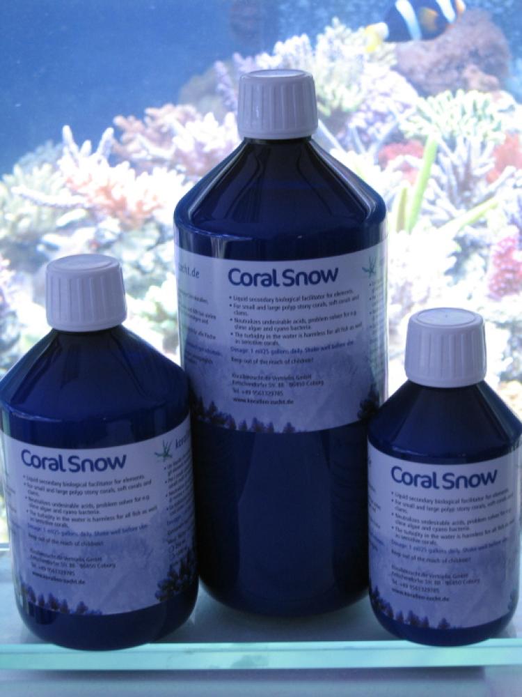 Coral Snow Coral Snow