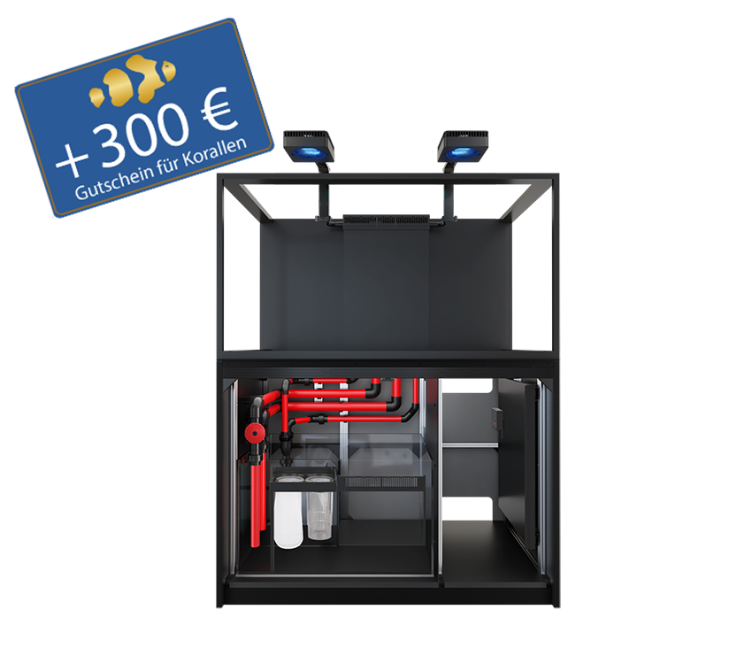 Reefer S 550 G3 - Deluxe