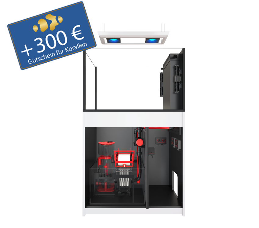 Reefer Peninsula 350 G3 - MAX - inkl. aller Technik