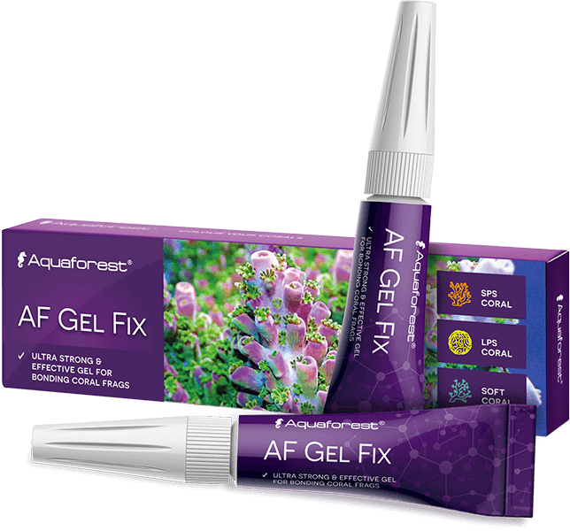 AF Gel Fix 2x20 g