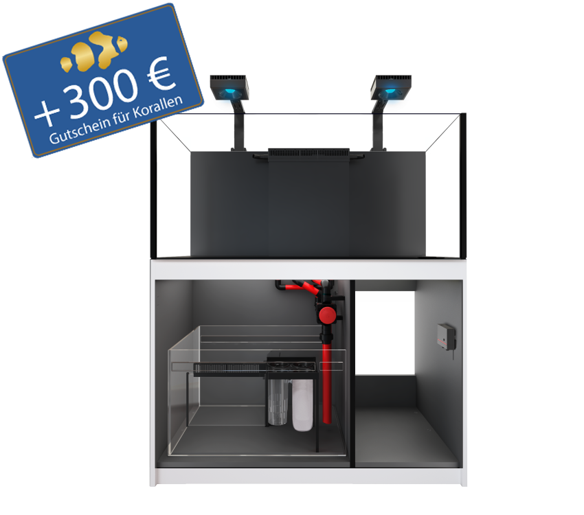 Reefer 425 G3 - DELUXE