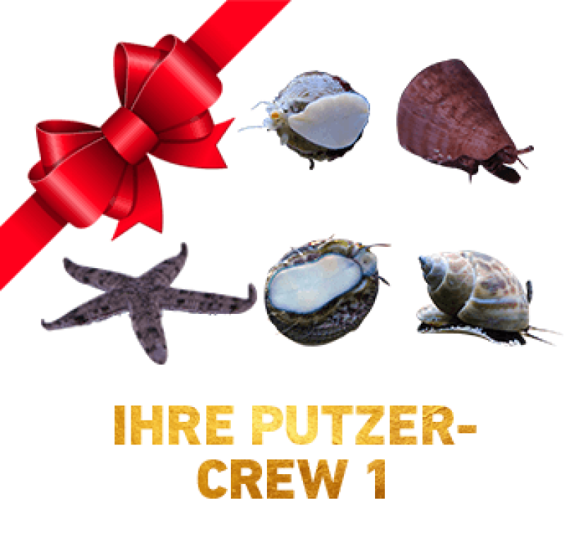 Putzercrew / Cleaning Crew / Putzertruppe