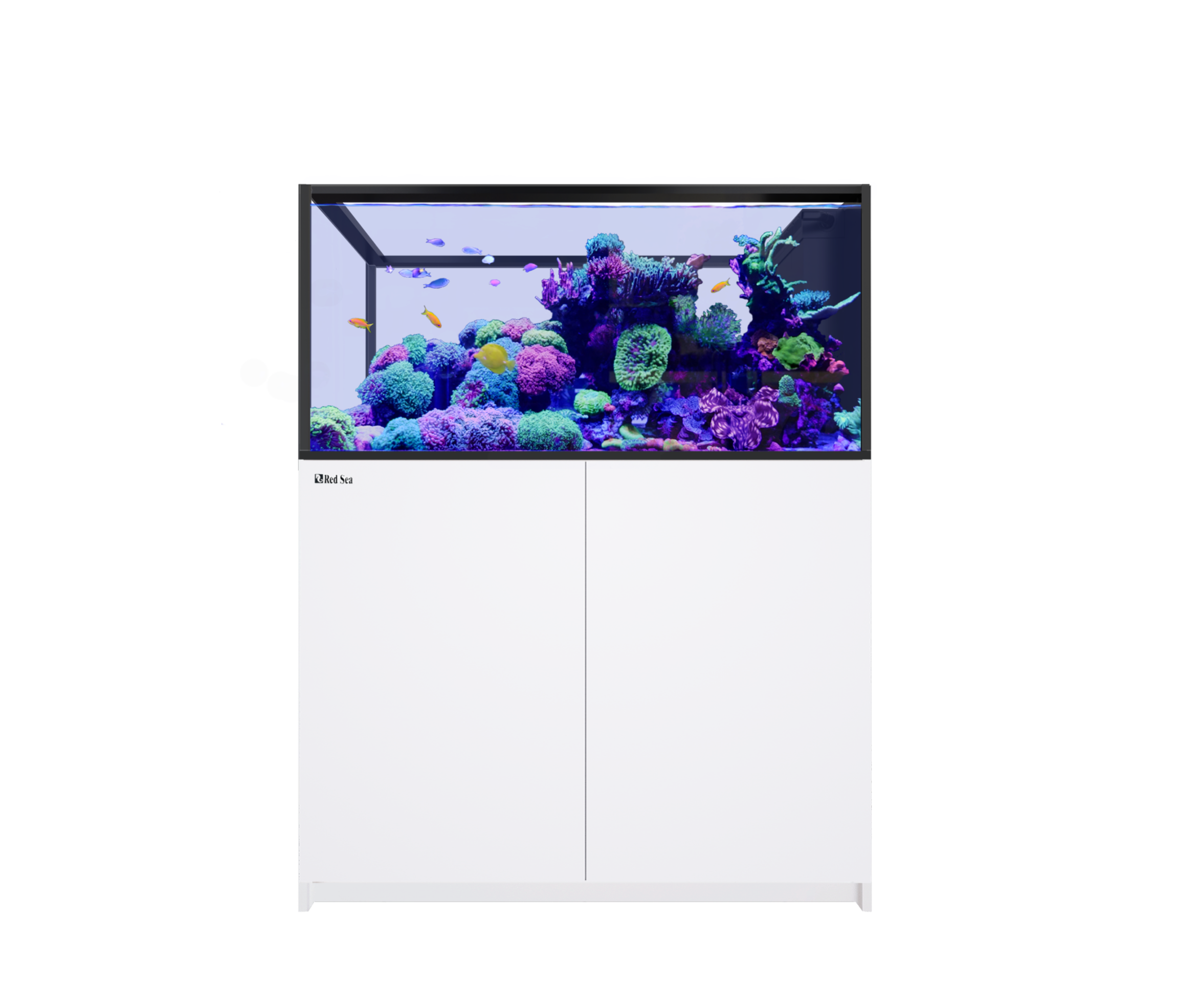 REEFER™ Peninsula 500 G3+