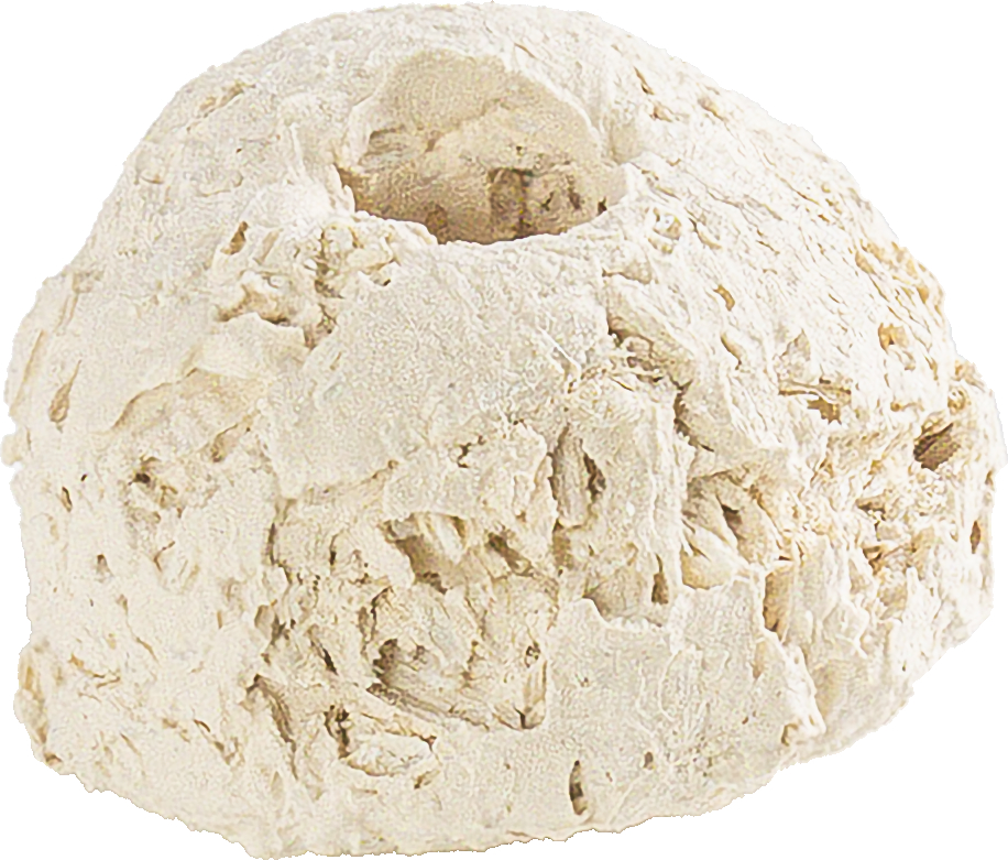 Ablegerstein rund klein 100 Stück Ablegerstein rund klein 100 Stück