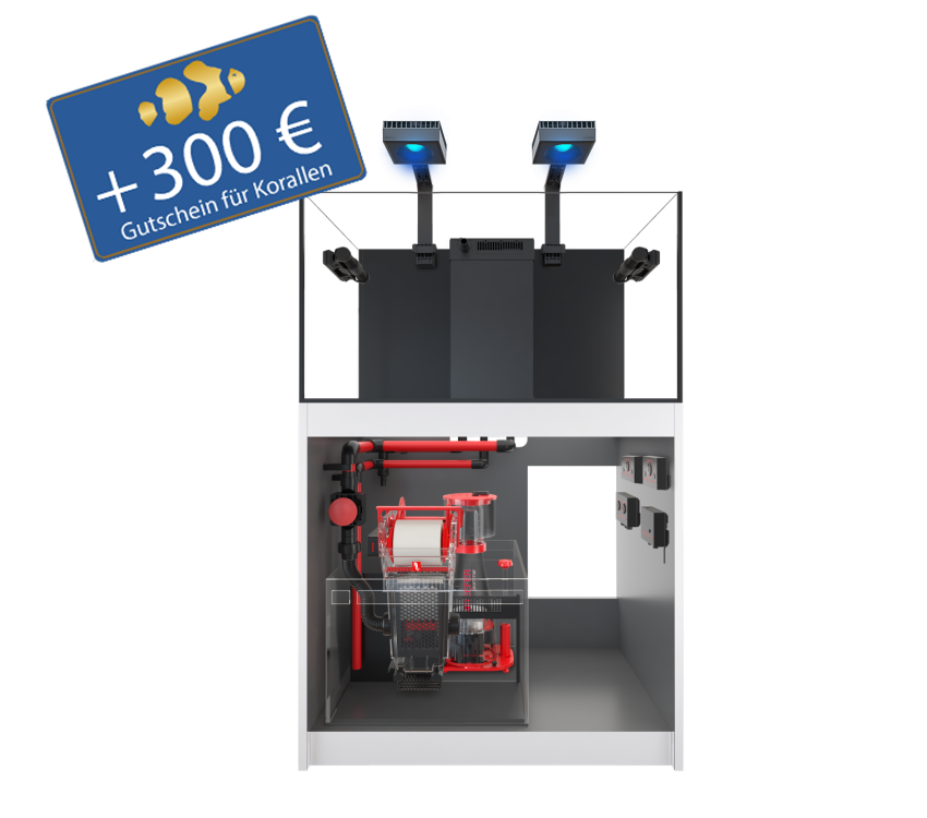 Reefer 425 G3 - MAX - inkl. aller Technik