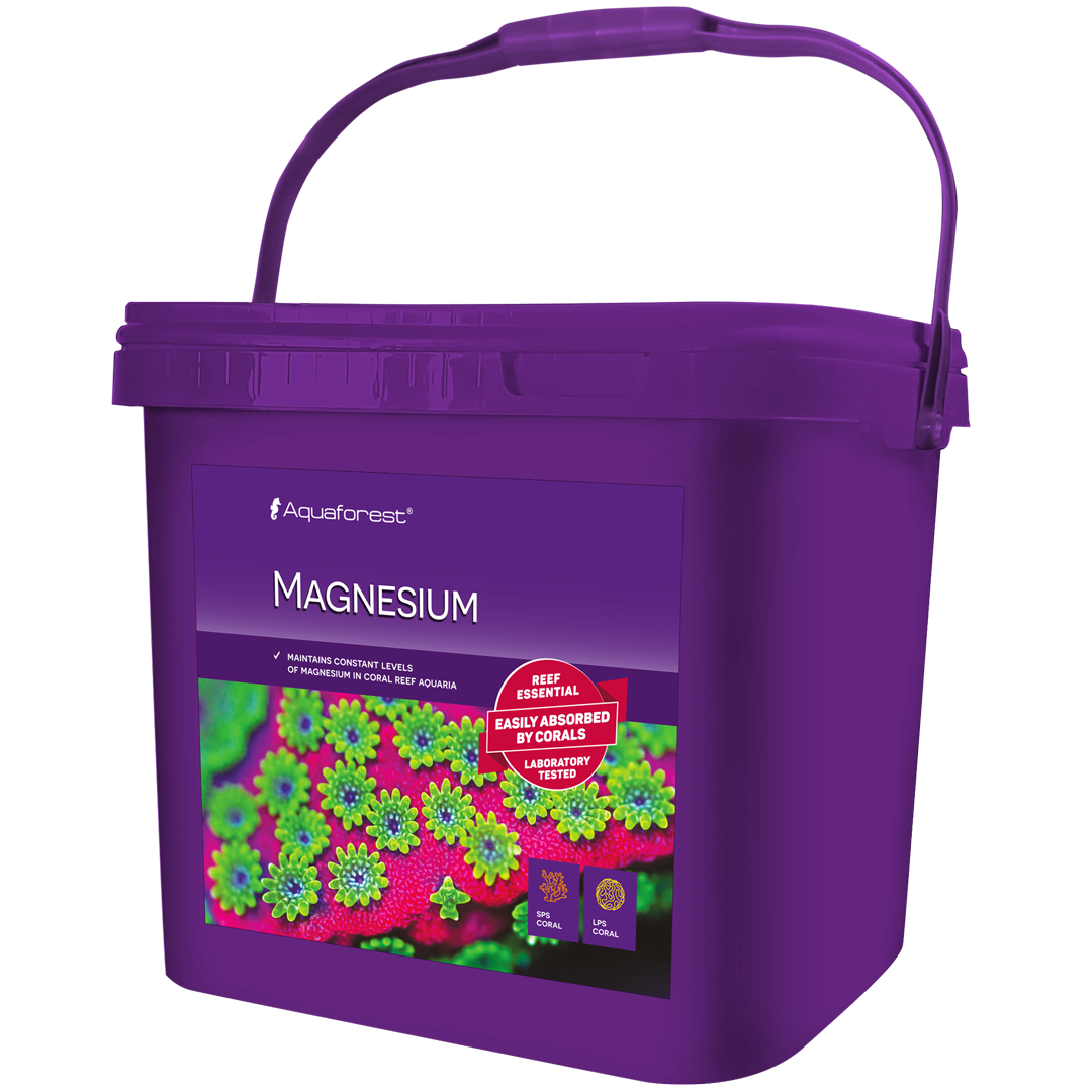 Magnesium 4 kg