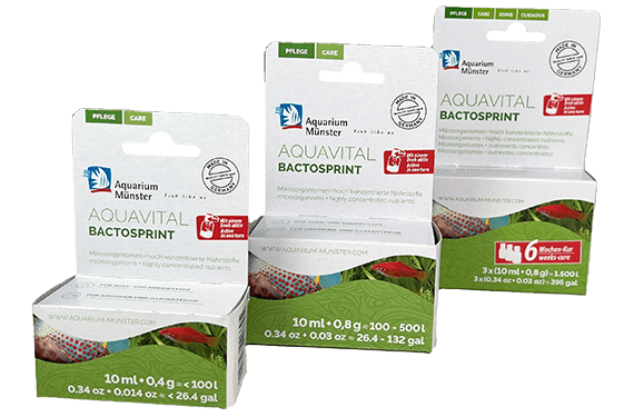 AQUAVITAL BACTOSPRINT für bis zu 100 l AQUAVITAL BACTOSPRINT für bis zu 100 l