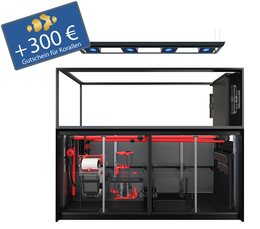 Reefer Peninsula S-950 G3 - MAX - inkl. aller Technik