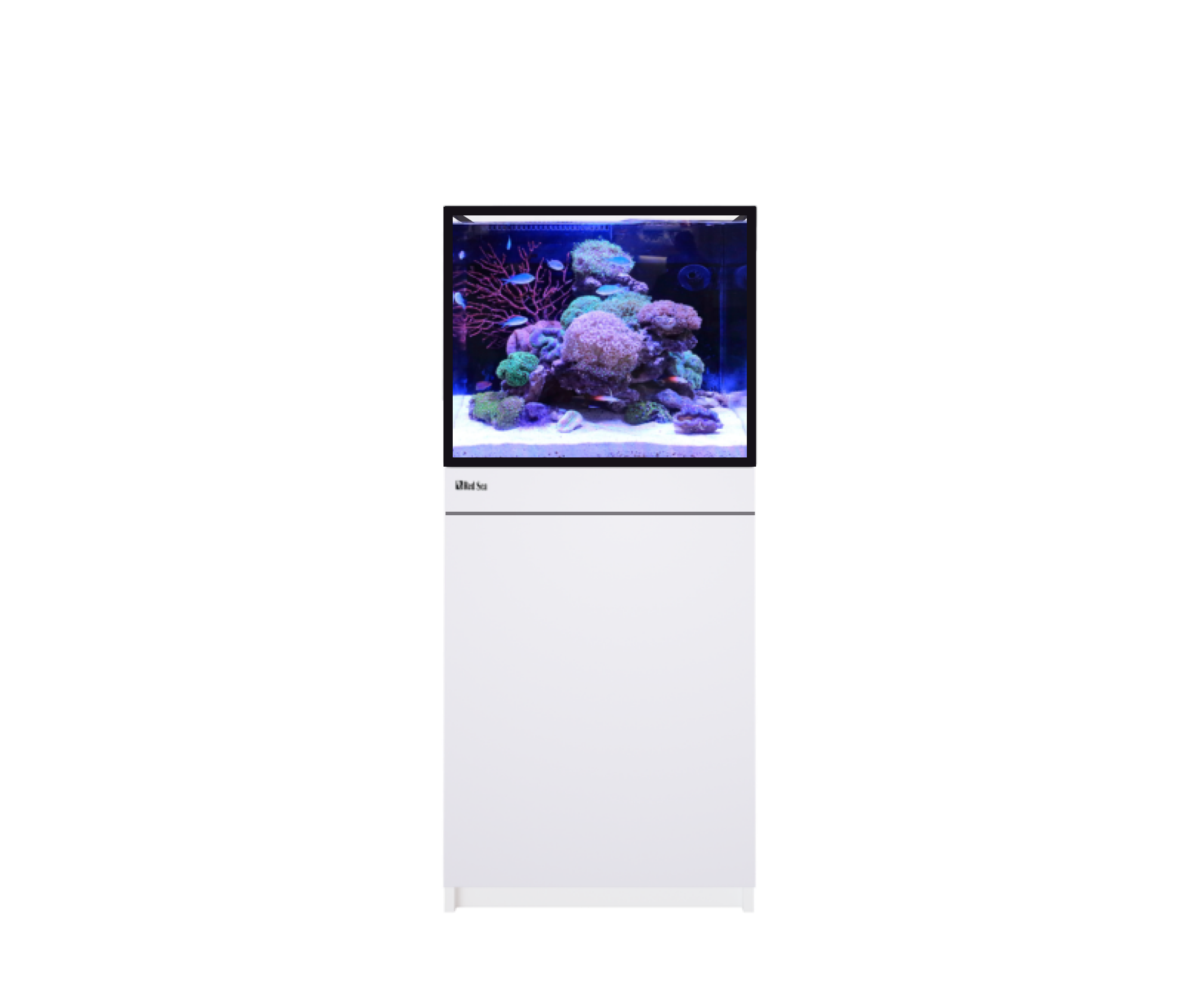 Red Sea REEF FRAME 170