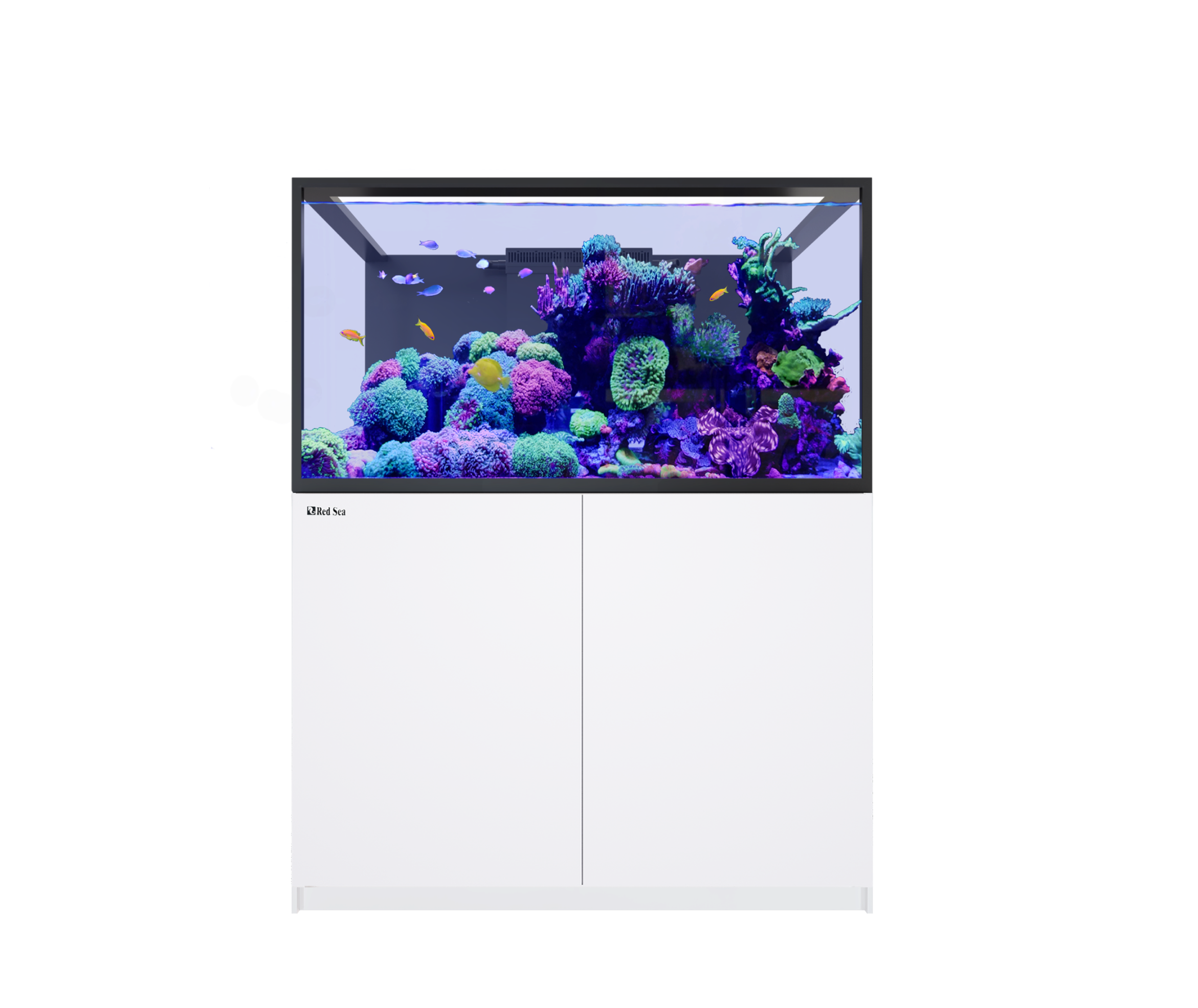 REEFER™ S 550 G3+