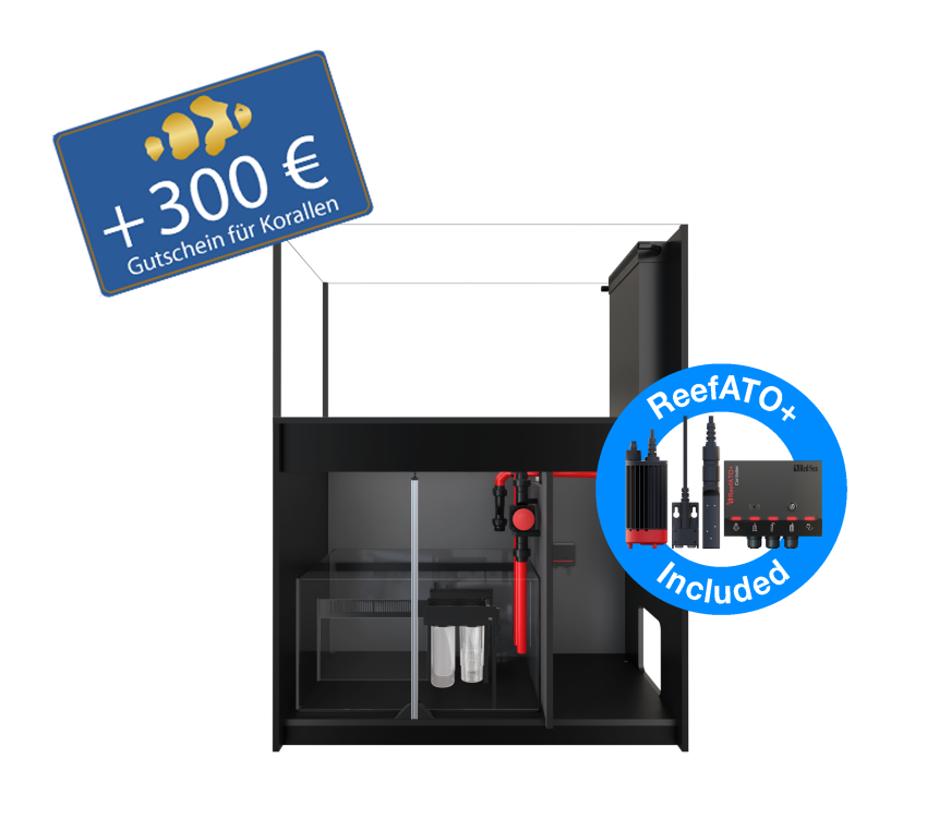 Reefer Peninsula 500 G3