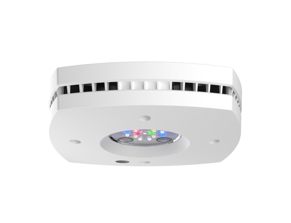 AI Prime 16HD Freshwater weiß