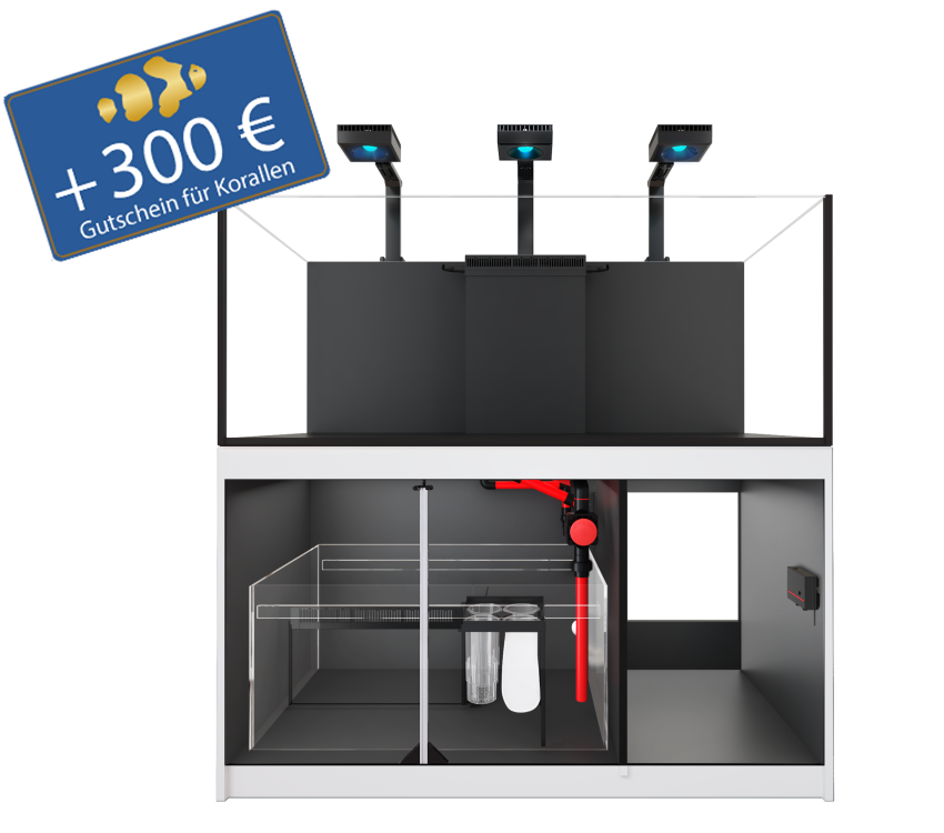 Reefer 525 G3 - DELUXE