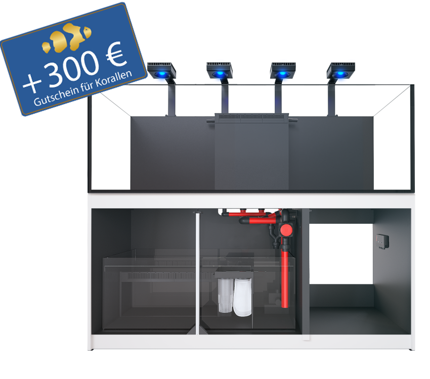 Reefer 750 G3 - DELUXE