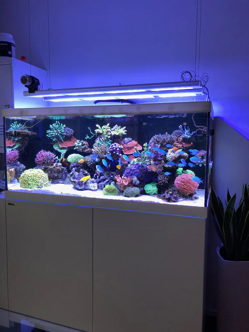 aquaBAR Gen4 Reef - 120 Watt - 112 cm Länge