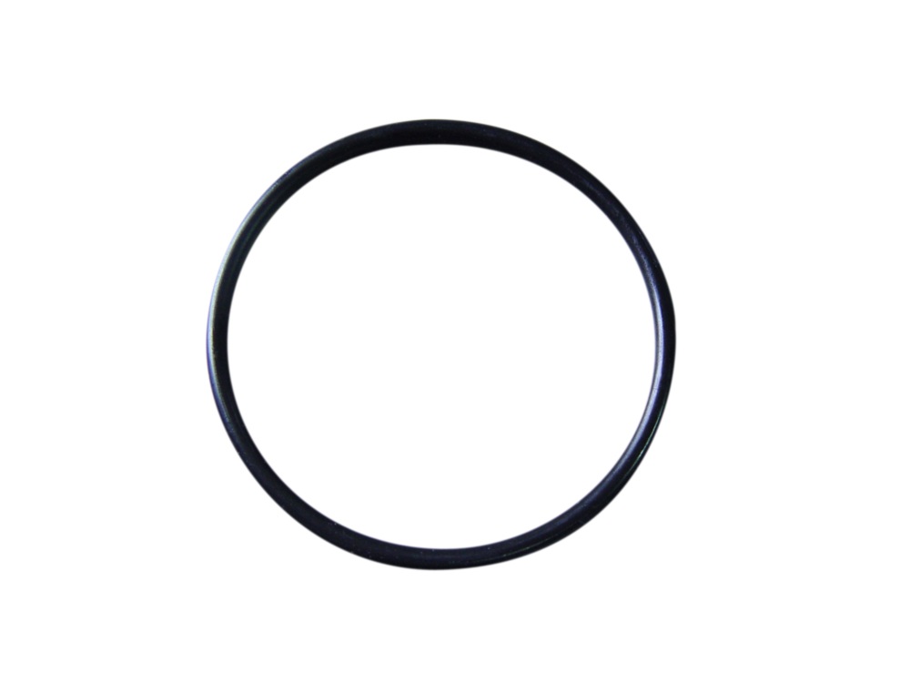 Dichtungsring 65 x 4mm für alle Mini-RD Pumpenkopf