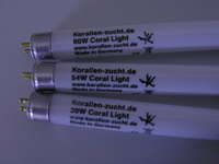 Coral Light 39 W