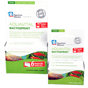 AQUAVITAL BACTOSPRINT 10 ml + 0,8 g AQUAVITAL BACTOSPRINT 10 ml + 0,8 g
