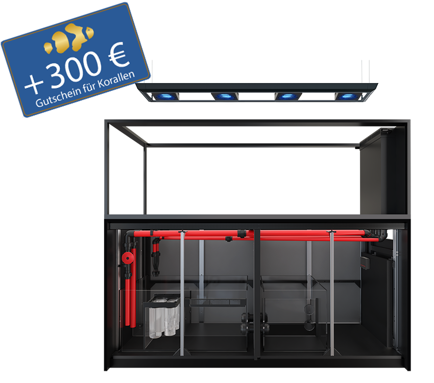 Reefer Peninsula S-950 G3 - Deluxe