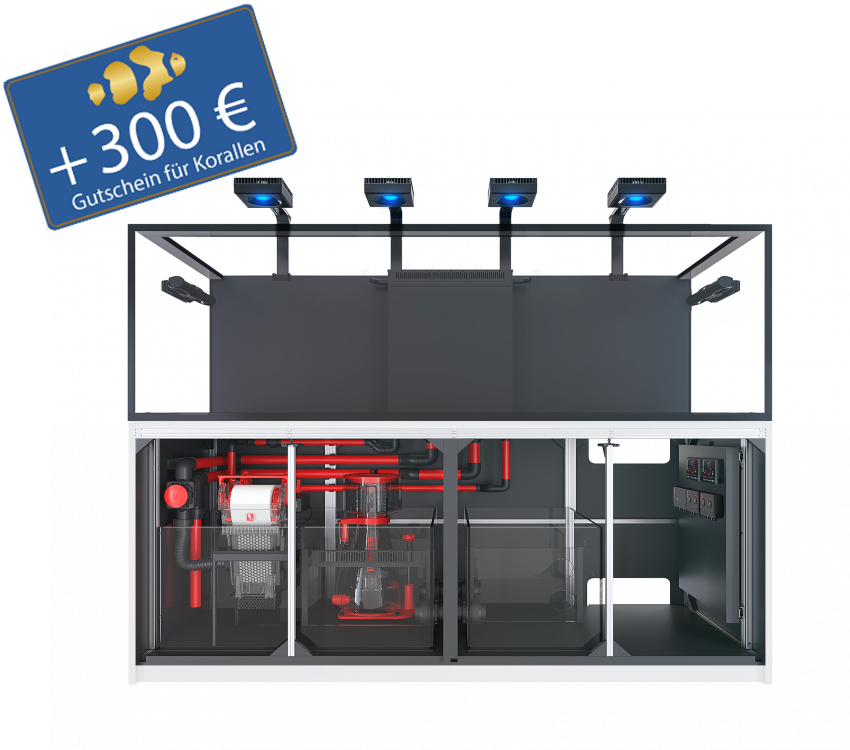 Reefer S 1000 G3 - MAX - inkl. aller Technik