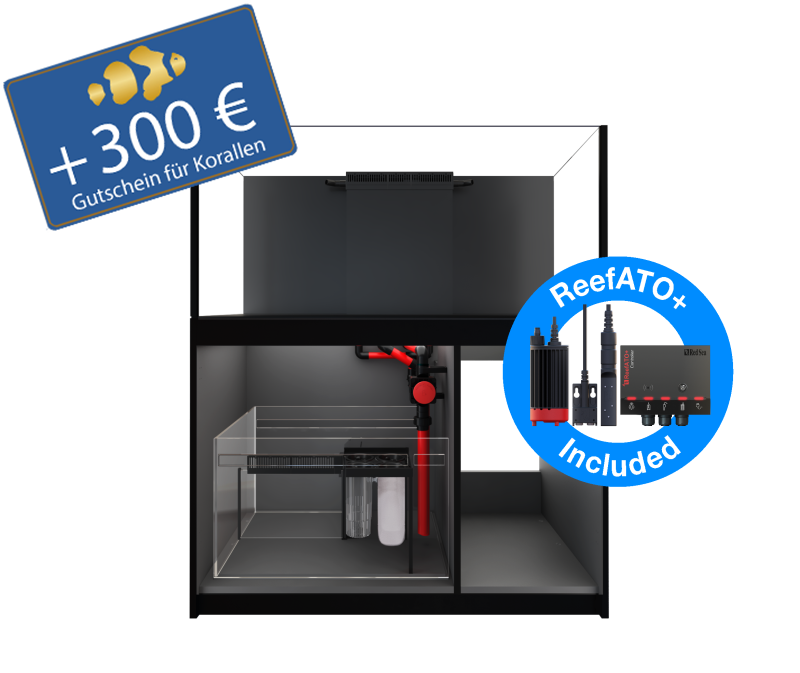 Red Sea Reefer 350 G3