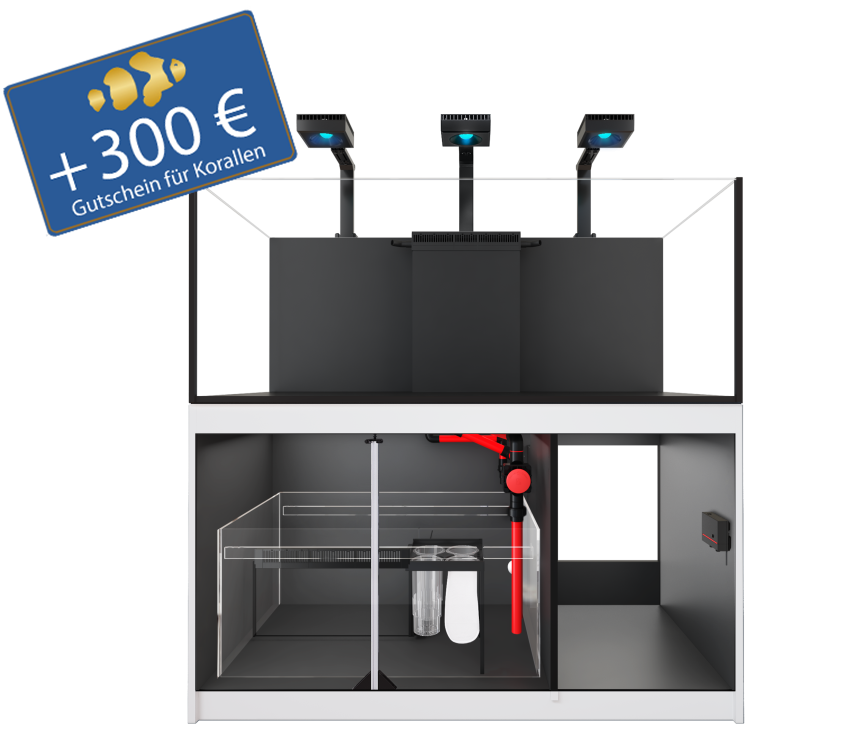 Reefer 625 G3 - Deluxe
