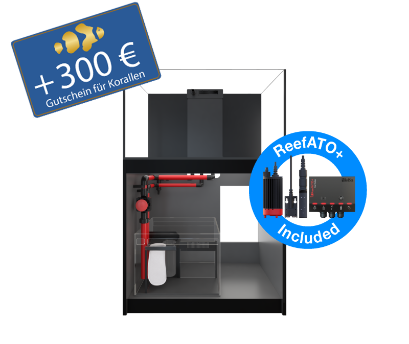 Red Sea Reefer 300 G3