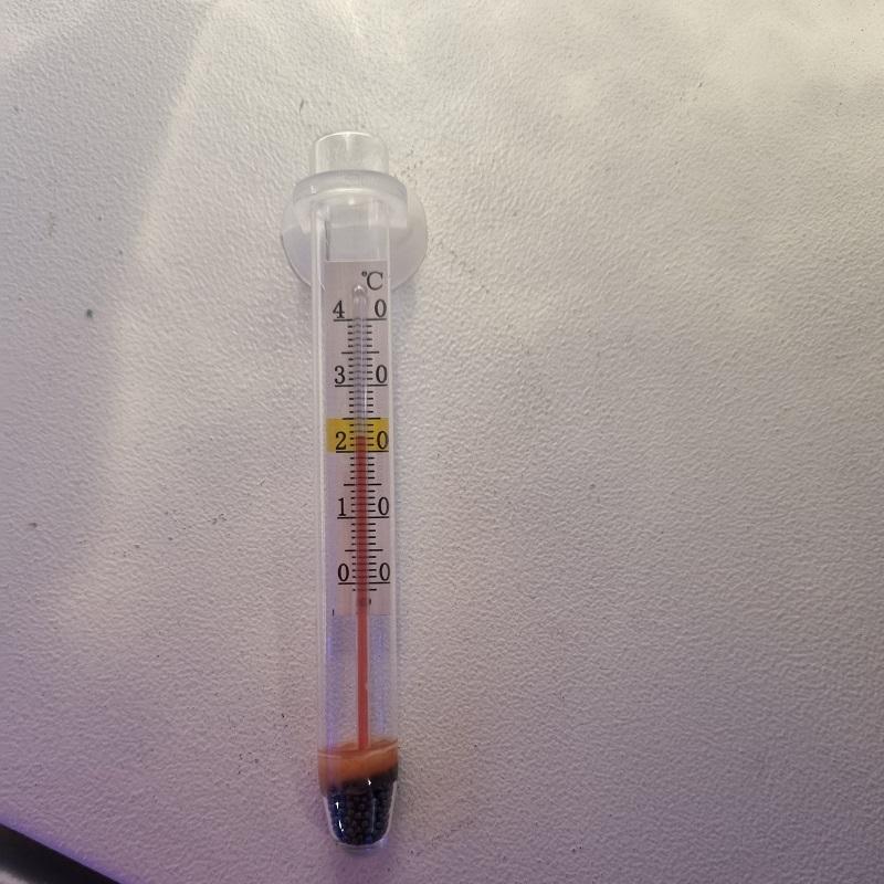 Aquarium Thermometer klein