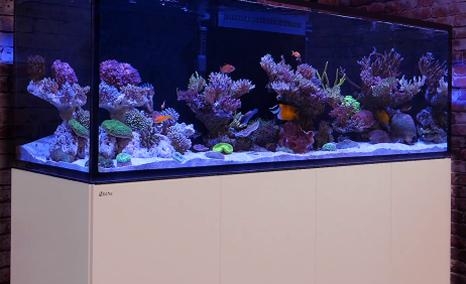 REEFER™ 200 G3+