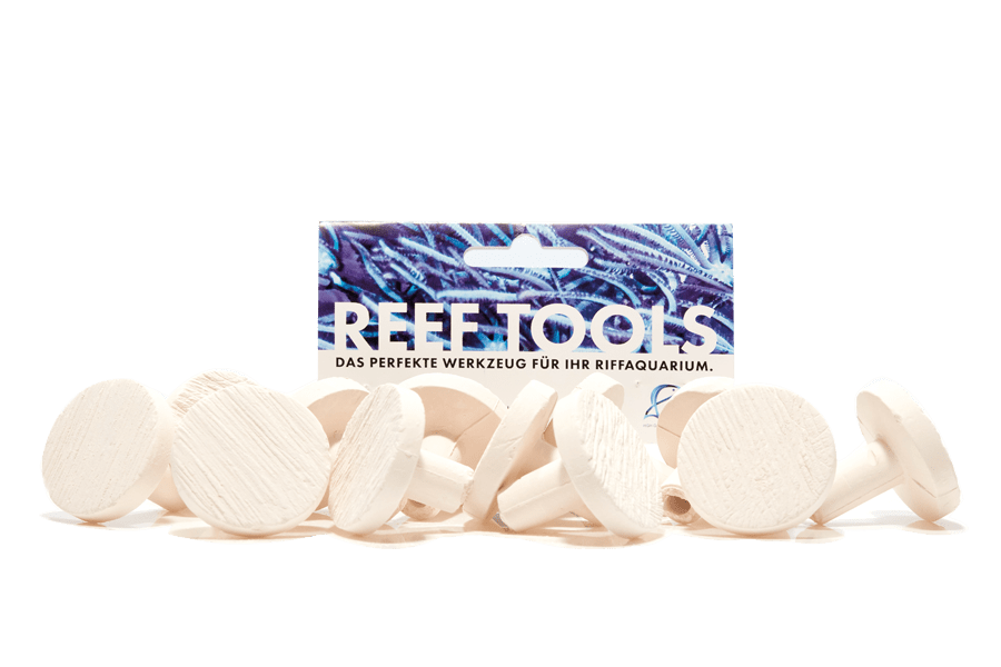 Reef Disc Maxi 3,3 cm Ø - Maxi Ablegersteine - 6stk / pcs
