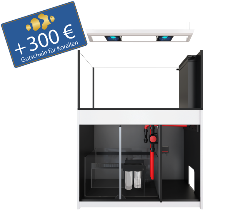 Reefer Peninsula 500 G3 - DELUXE